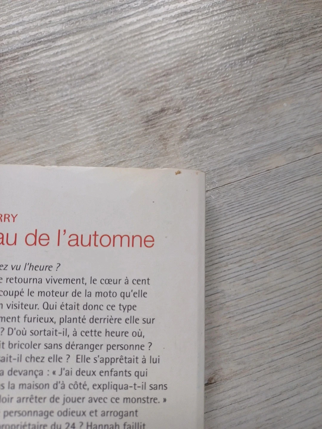 Livro o presente do outono – photo 4